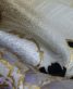 参列振袖[COOL BEAUTY]白×黒・金紫の牡丹に八重桜[身長168cmまで]No.948